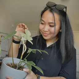 AlyNPlants
