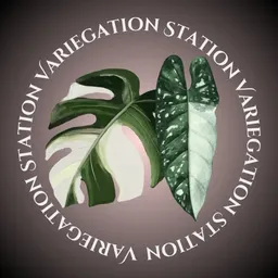 Variegation_Station