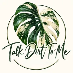 talkdirttomeCT
