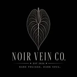 NoirVeinCo.