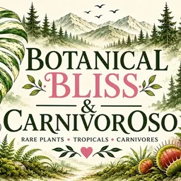 BotanicalBliss