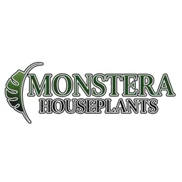 monstera_houseplants
