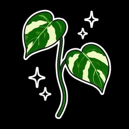 PlantWonderland