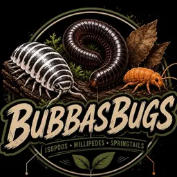 bubbasbugs