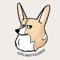 Sadie.corgi