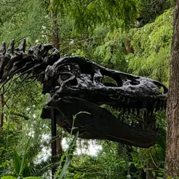 DuskyDino