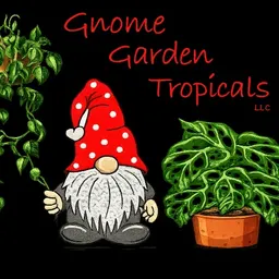CarriePlantGnome