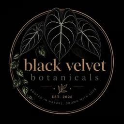 BlackVelvetBotanicals