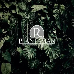 RPlantAsian
