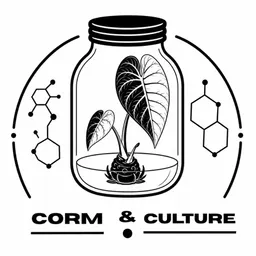 CormandCulture