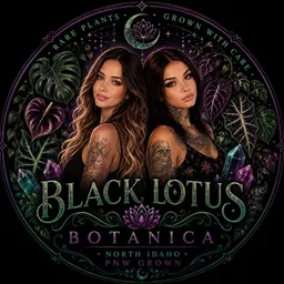 Black_Lotus_Plants