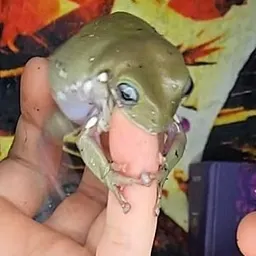 Kyralith