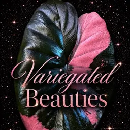 variegatedbeauties