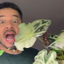 RandyForPlanties