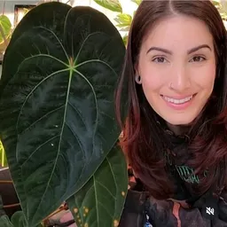JaclynnsJungle