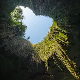 PlantsPlannersPurses