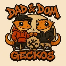 Dad_N_Dom_Geckos