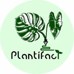Plantifact