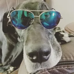 NevaehTheDane