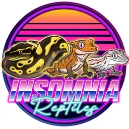 Insomnia_Reptiles