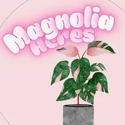 magnolia_acres