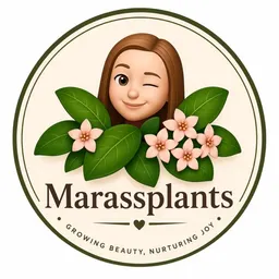 Marassplants