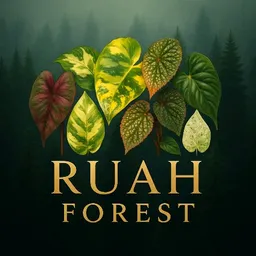 RuahForest