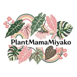 PlantMamaMiyako