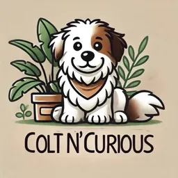 ColtNCurious