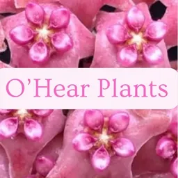 OHear_Plants
