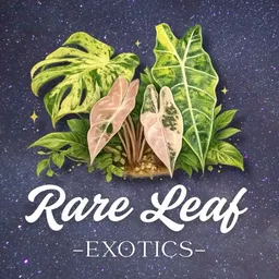 RareLeafExotics