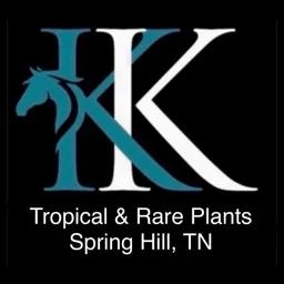 KKTropical