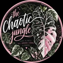 TheChaoticJungle