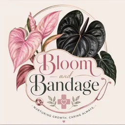 Bloom_and_Bandage