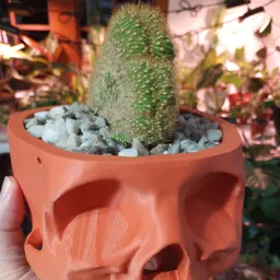 Mugsygrowsit