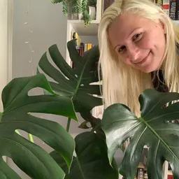 Plantswithrita