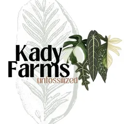 KadyFarms