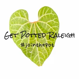 Getpottedraleigh