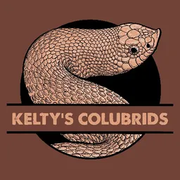 Keltys_Colubrids