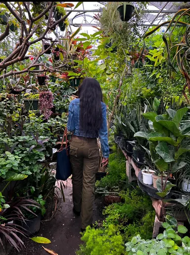 ended show
