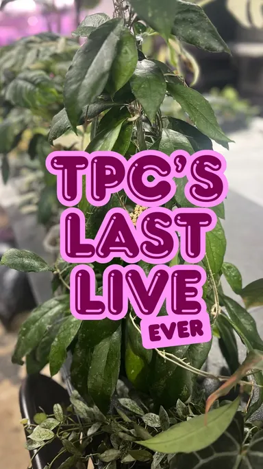 ended show